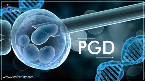 pgd-646|PGD.